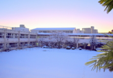 雪が降った翌朝